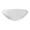 Ampelglas (f300/Slipat matt)