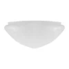 Ampelglas (f300/Vit)