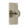 Knopp Sekelskifte med bottenplatta - Nickel 40 x 70 mm