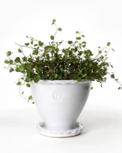 Kruka Sturehof - Adelcrantz, 17 cm vit
