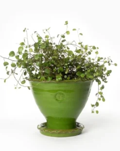 Kruka Sturehof - Adelcrantz, 17 cm grön
